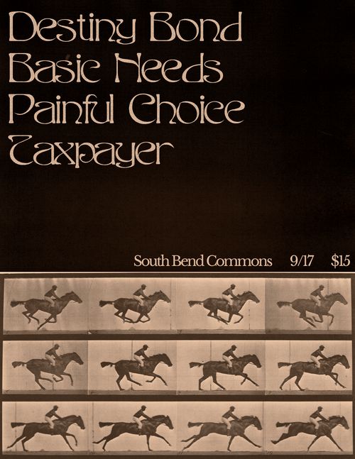 Destiny Bond, Basic Needs, Painful Choice, Taxpayer